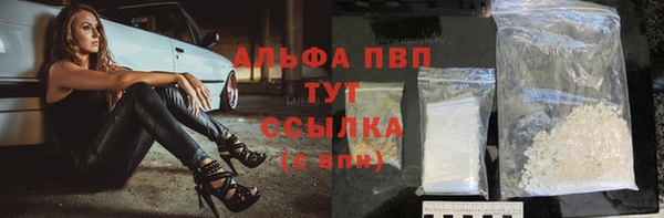 СК Горнозаводск