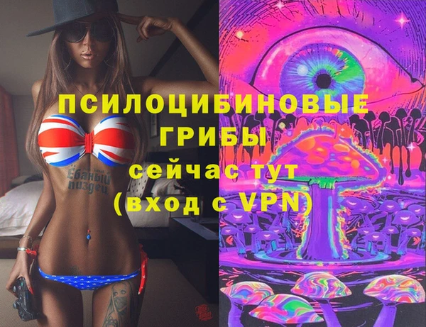 mdma Горняк